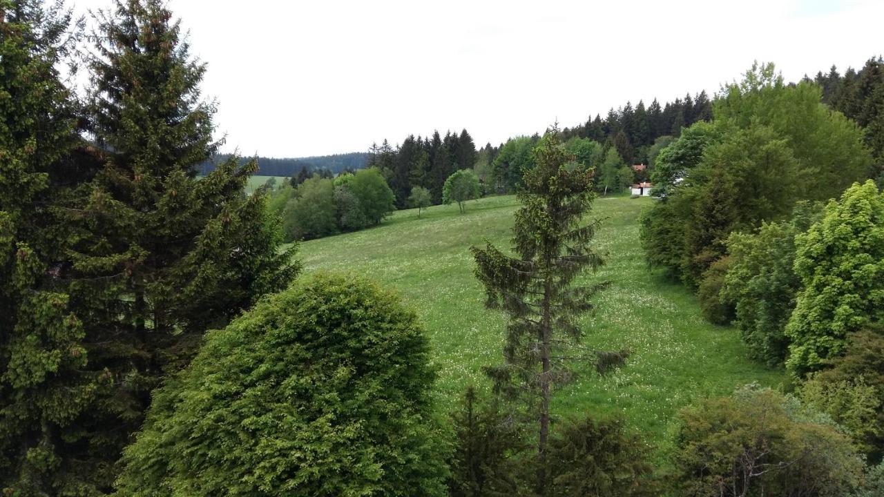 Herzerl Apartment Sankt Englmar Zewnętrze zdjęcie